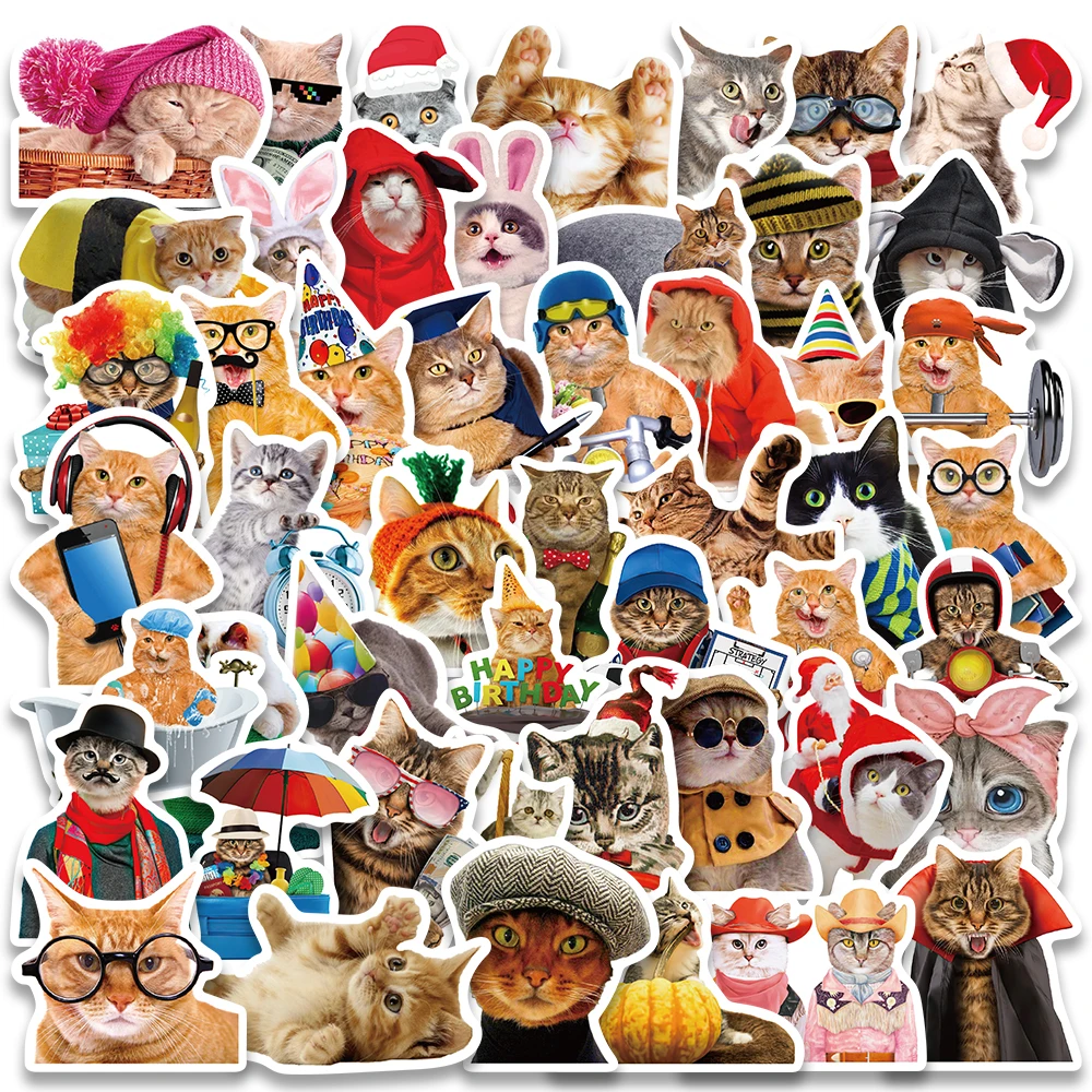 50pcs Funny Cats Meme Stickers For Luggage Guitar Laptop Phone Vinyl Waterproof Graffiti Bicycle Car Decals Kids Toy