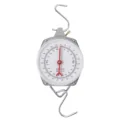 Fishing scale
