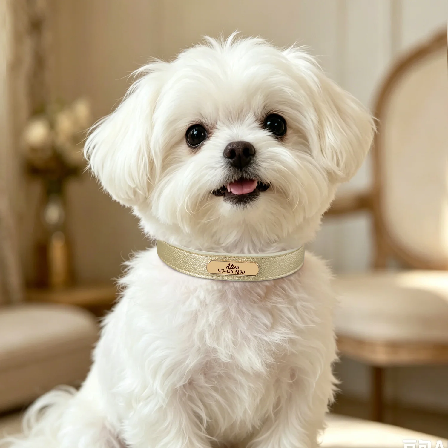 Luxury & Soft Leather Personalized Dog Collar and Pendant Pet Puppy Cat ID Nameplate Engraved for Small Medium Dogs