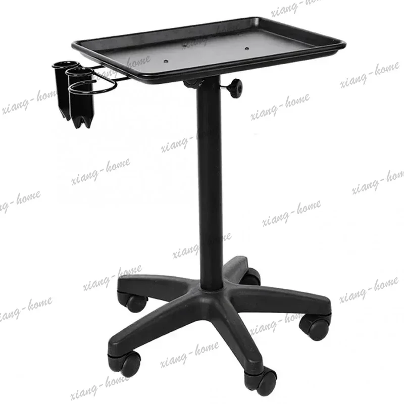 Factory Direct Japanese Style Multifunctional Trolley Modern Designer Simplicity Trolley Barber Shop Storable Furniture Skjuta E
