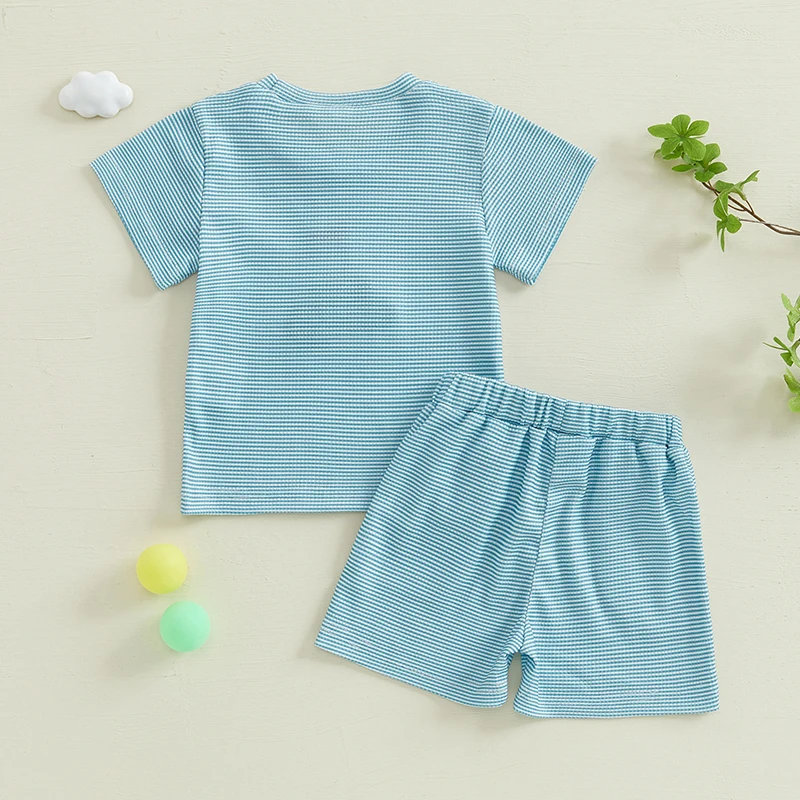 Toddler Kids Baby Boys Summer Clothes Sets Golf Embroidered Short Sleeve Round Neck Tops Elastic Waistband Shorts Tracksuits