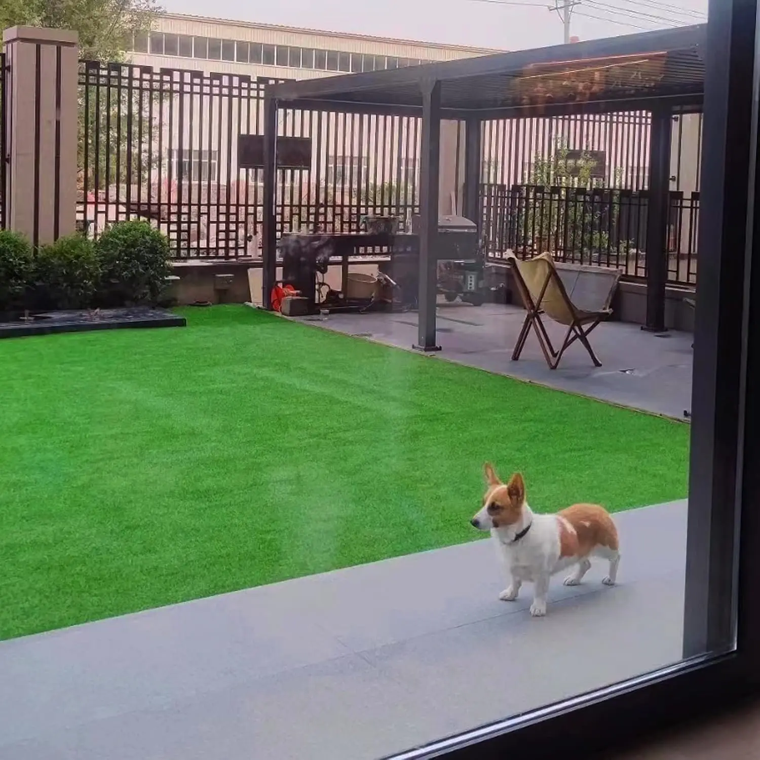 

Artificial Grass Turf for Pet Dogs , Fake Grass Lawn with Drain Holes, Indoor Outdoor Synthetic Grass Mat for Garden Gym