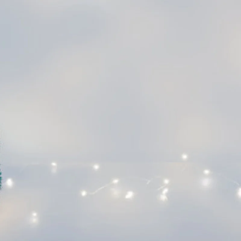 

Servo 80KG RC 1/5 Servo Waterproof High Torque 80Kg 8.4V Metal Gear Digital Servo For Redcat HPI Baja 5B SS