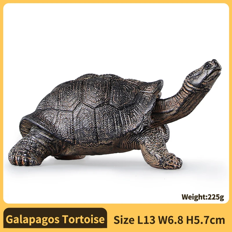 PVC-schildpadfiguren Dierenvorm Gedetailleerde sculptuur Ster-schildpadmodelfiguren Actiefiguren Voor educatief doel