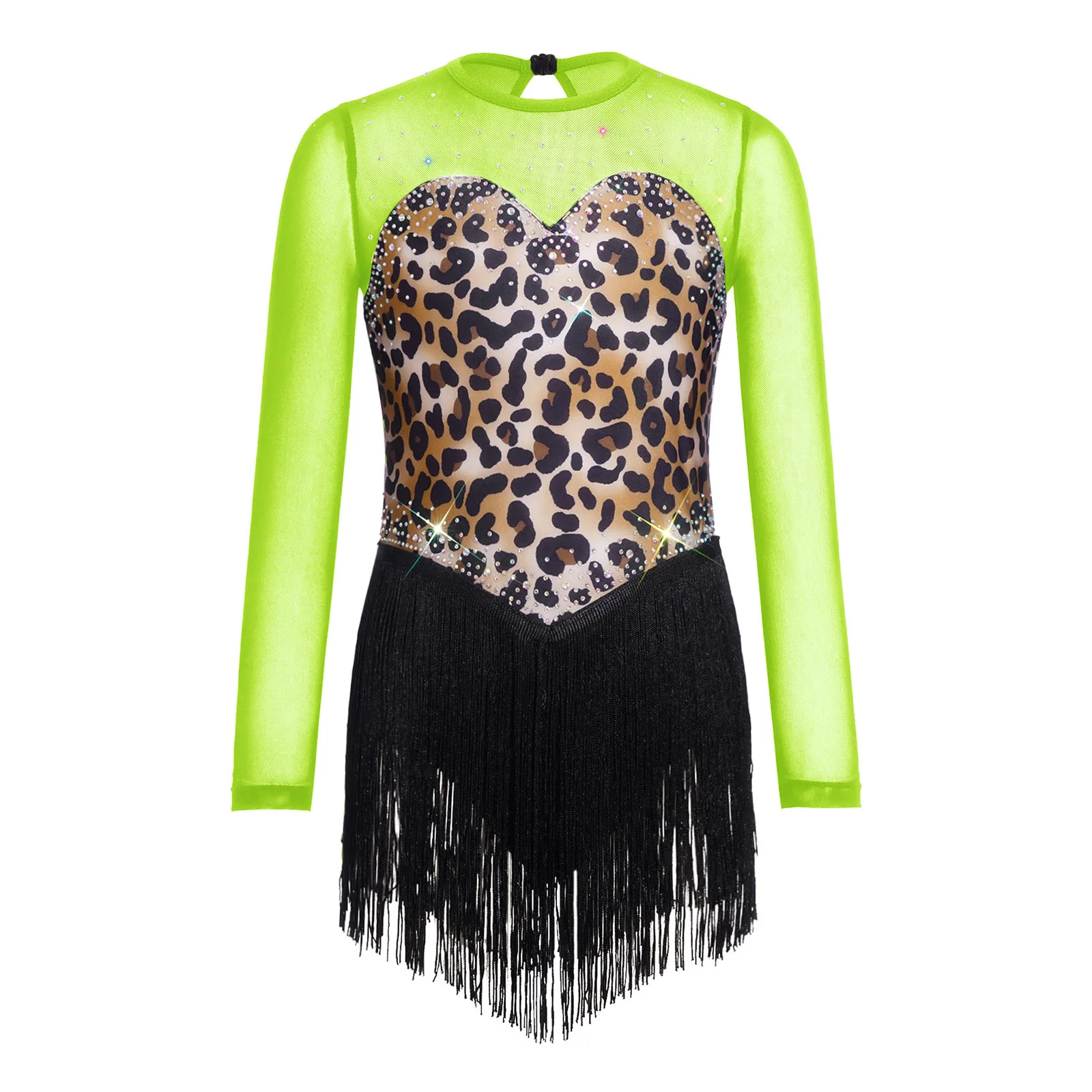 Kids Girls Leopard Print Fringe Latin Rumba Dance Costume Long Sleeve Keyhole Back Mesh Patchwork Shiny Rhinestone Tassel Dress view 3
