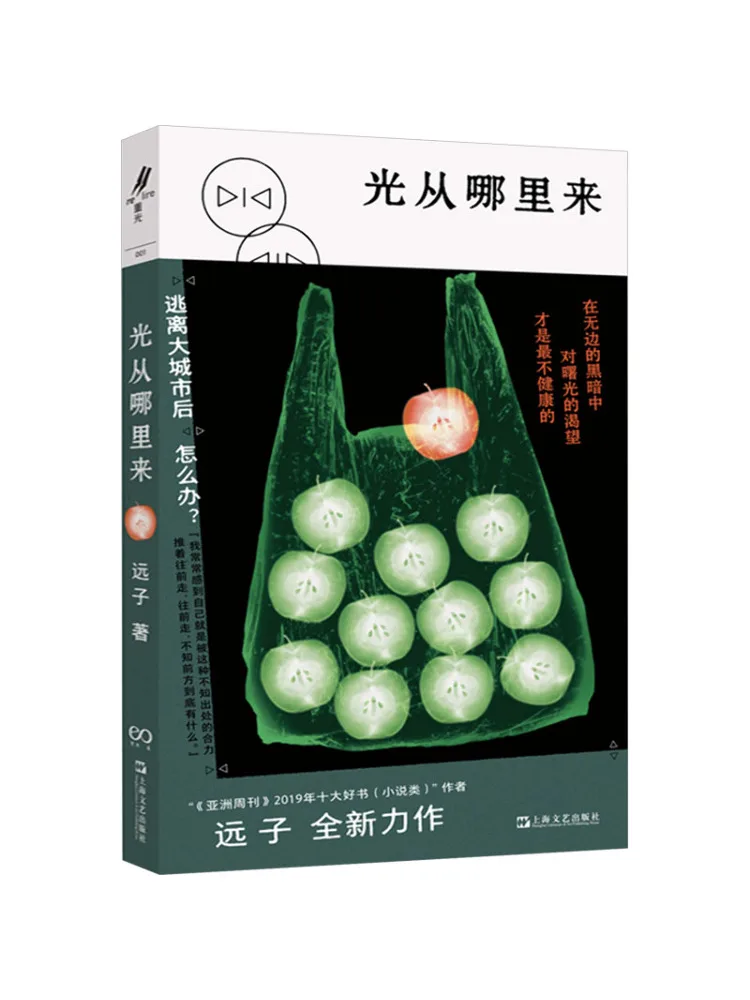 

Book-Winshare Where the Light Comes From