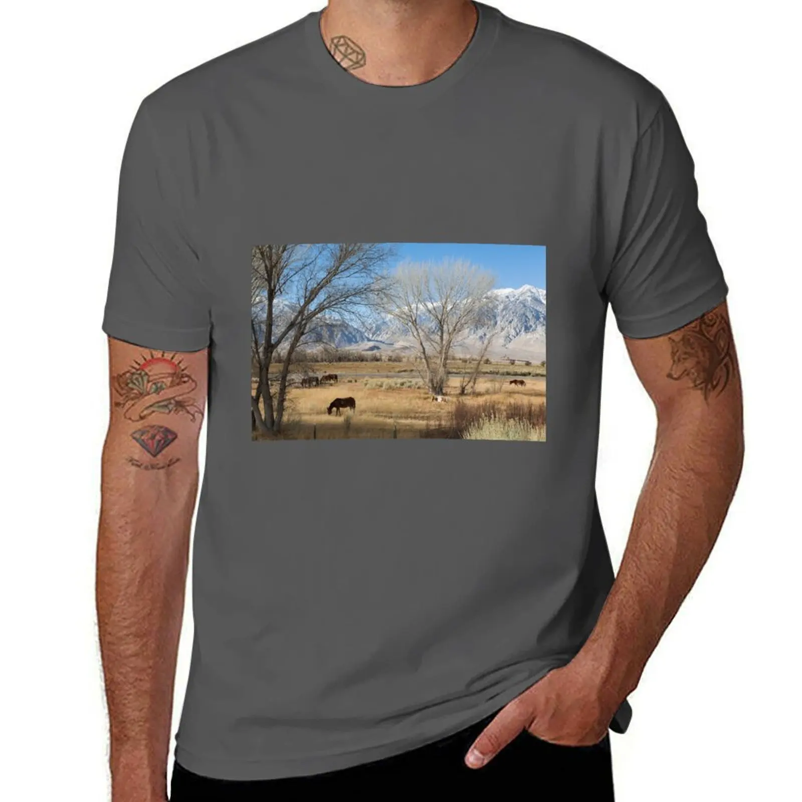

Horses Grazing In A Meadow T-Shirt Lightweight Basic Short Sleeve Shirt