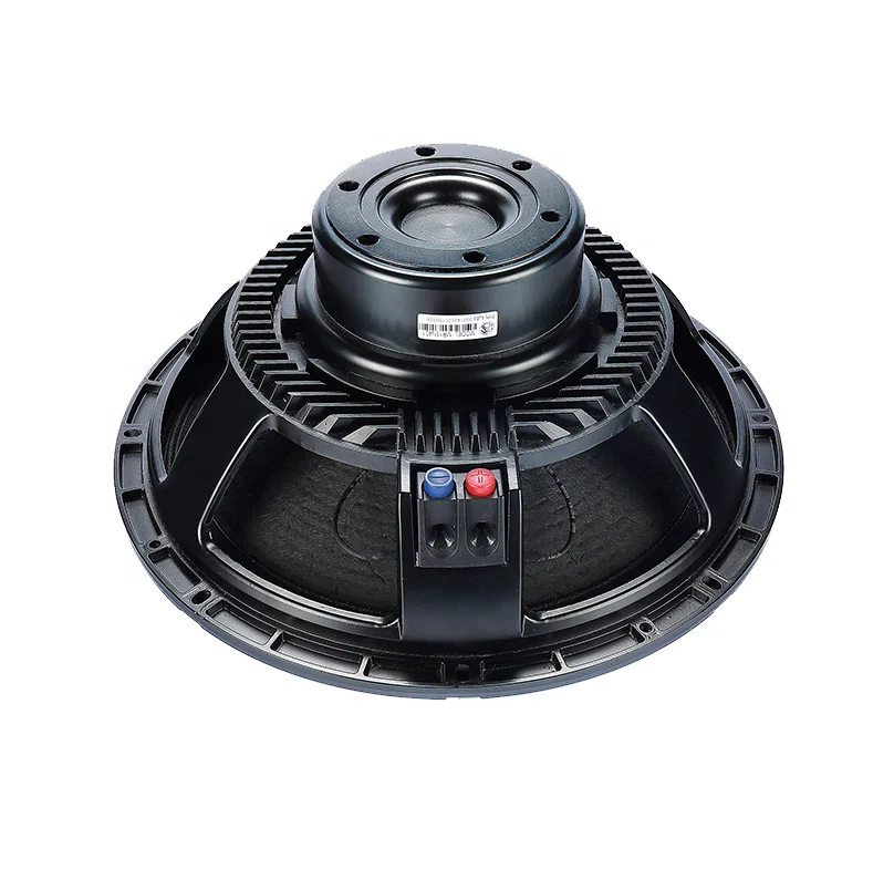 

Professional Outdoor Stage Performance PA Hot Sale Woofer 15'' Neodymium Speakers
