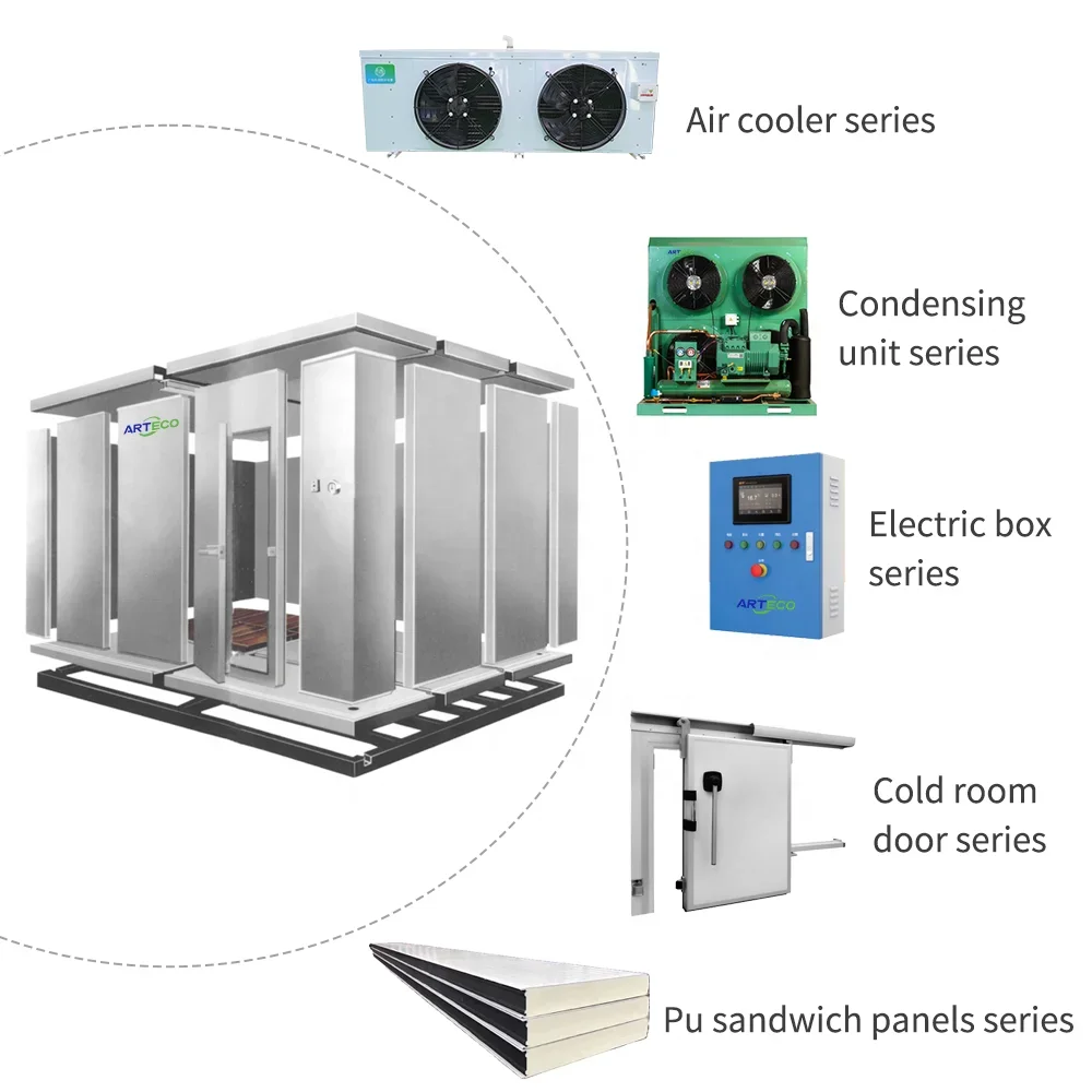 Komersial segar-keeping Blast Freezer dalam ruang beku ikan dan daging wadah dingin ruang penyimpanan