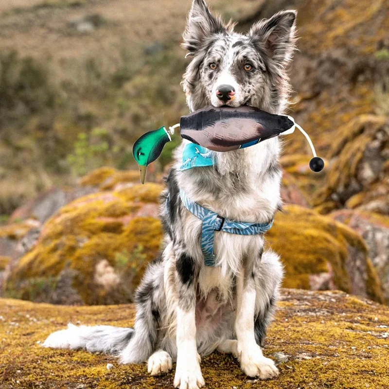 DUNIBumper-Jouet pare-chocs Little Turkey pour chiens de chasse adultes, fréquence mimique, entraînement PupMED