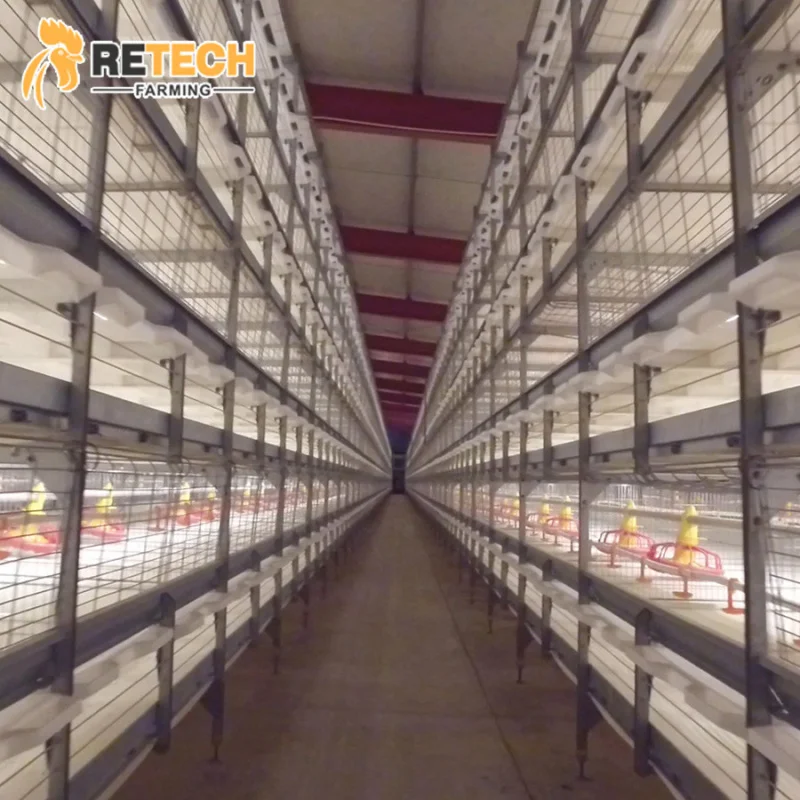 

High Quality Automatic Poultry Farm H Type Broiler Battery Chicken Cage