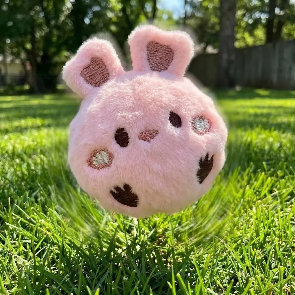 New Bite Resistant Dog Ball TPR Washable Puppy Squeaky High Bounce Elastic Dog Chew Pet Play Time