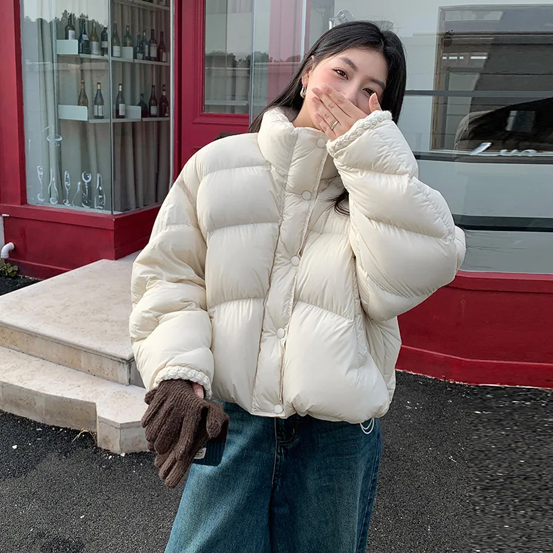 2025 kurzer Puffer mit 95 % weißer Entendaunen. Stehkragen, vielseitig und schick für den Winter.