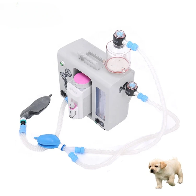 Portable Vet Anesthesia Equipment Animal Hospital Cat Dog Pet clinic Use Veterinary Anesthesia Machine With Ventillator