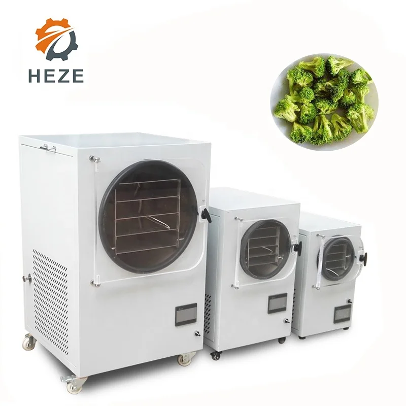 High Precision Vacuum Drying Oven Lyophilization Freeze Dryer with Pump for Sale