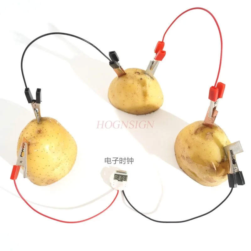 1Set Kids Physics Teaching Resources Funny School Toy Supplies Simple DIY Scientific Experiment Fruit Generator Creative
