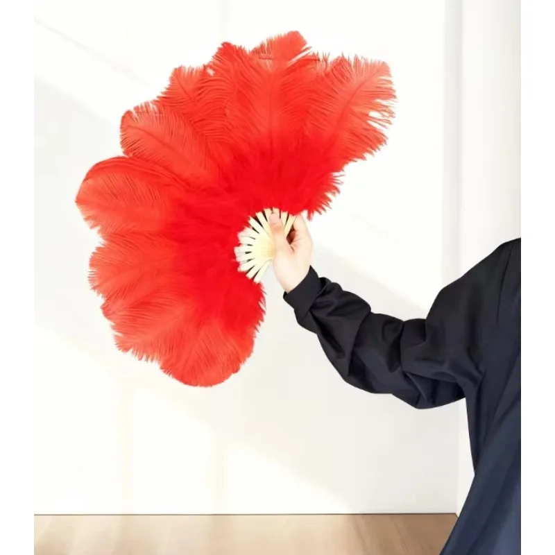 13 Ribs Ostrich Feather Fan Approx 60cm in Diameter Ideal for Stage Performances Catwalks Bar Shows Feather Fans & Folding Fans