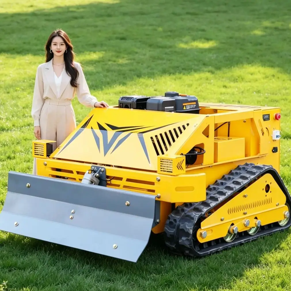 Customized Multi Function Petrol Lawn Mower Gas Powered Lawn Mower Mulching Side Discharge Grass Trimmer Dual Mode