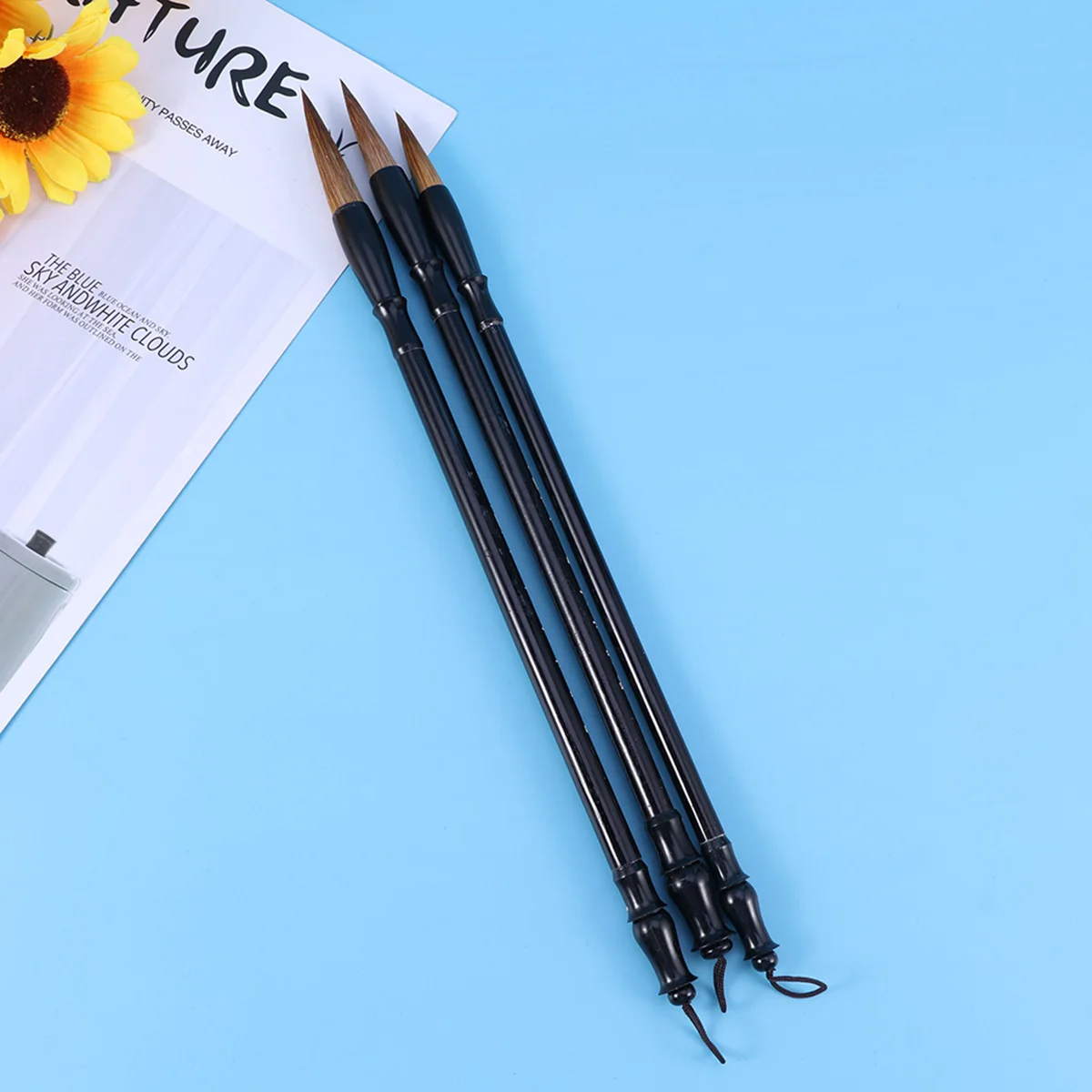 3 Pcs Brush Set Wolf Hair Writing Traditional Chinese Painting Drawing Student