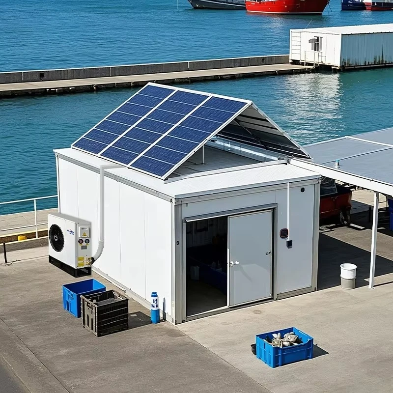 Solar Powered Walk-in Cold Storage Container With Battery Backup Fixed Cold Room Custom