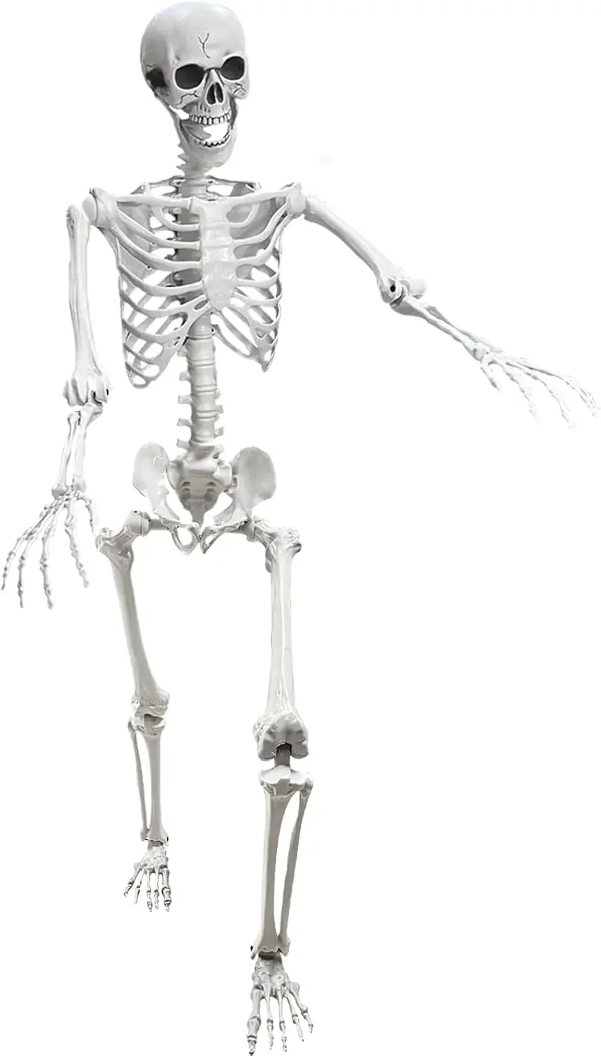 

Lodou 5.4Ft Posable Life Size Human Adult Skeletons Plastic Human Bones with Movable Joints for Halloween Decoration