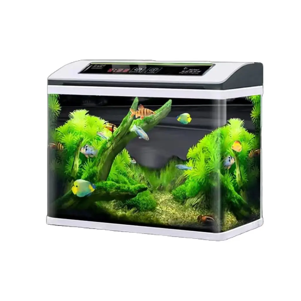 

Extended medium and large glass tank big arowana aquarium ecological tank factory direct sales wholesale
