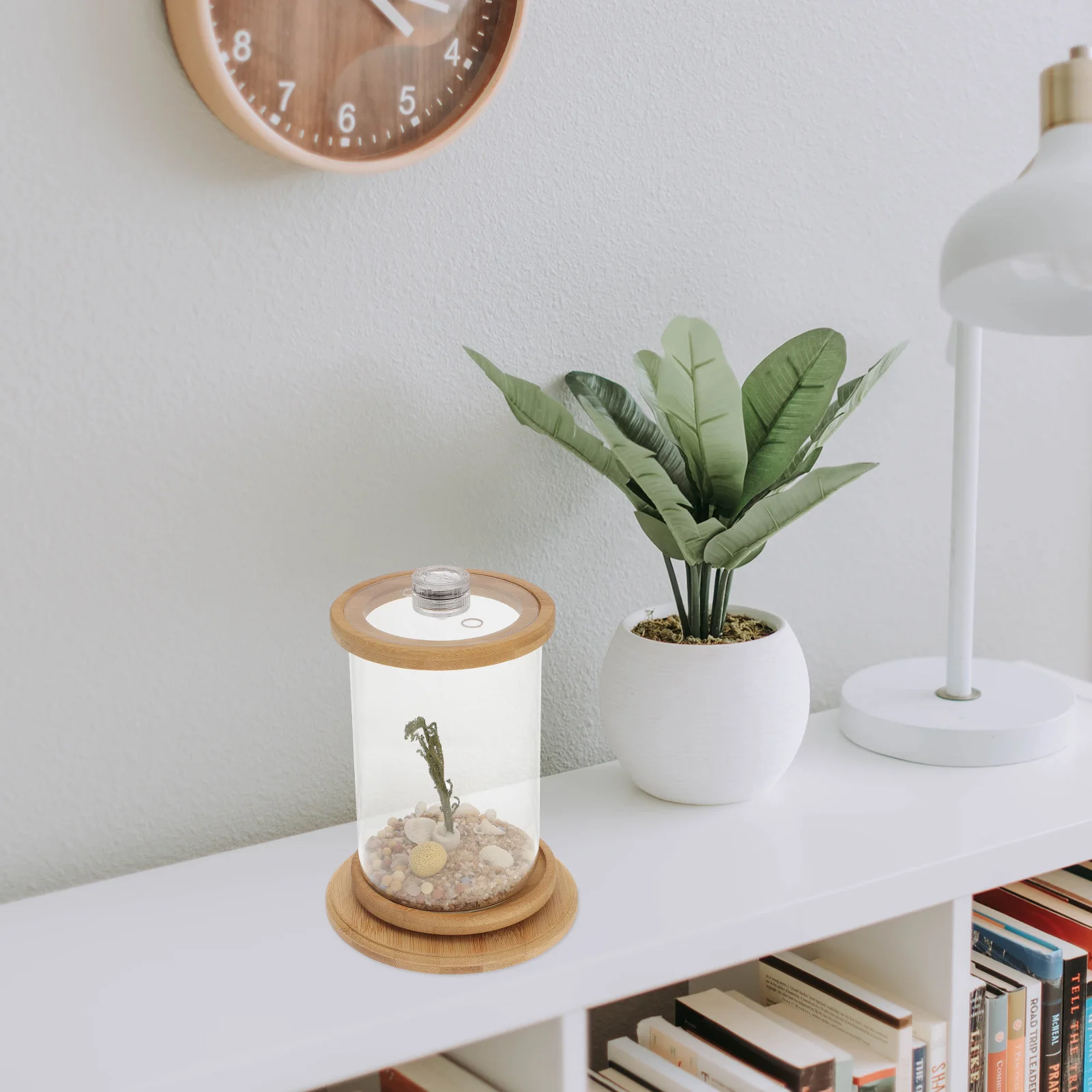 

1Set Ecological Bottle Micro Landscape Tank Premium Sturdy Material Realistic Design for Home Store Bedroom Decor Desktop Office