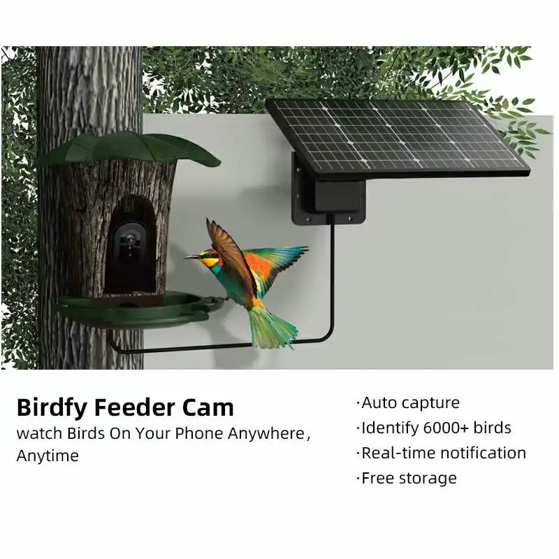 

3MP 1296P Solar Power iCam+ APP AI Watch Bird Wireless 4G/WIFI IP Camera Bird Feeding CCTV Monitor