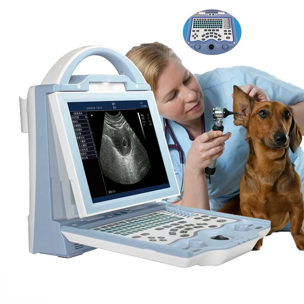 

Dp10 Dp 50 10 Dp50 Dp-10 Z50 Z60 Vet Doppler Ultrasound Machine System Wato Ex-35 Wato-ex 35 Vet