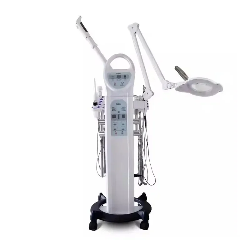 9in1 Multi-functional Beauty Insteument Multifunction Korean Beauty Machine with Facial Steamer Wholesalers H5050