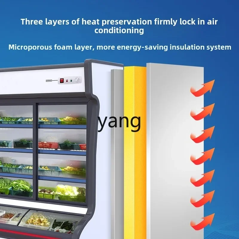 CX Commercial Refrigerated Freezer Hotel Malatang BBQ Fried Skewers Freezer