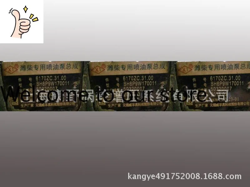 

Подходит для топливного насоса Weichai 6170, артикул 6170ZC.31.00 BH6P9W170011 IM0-23-01.