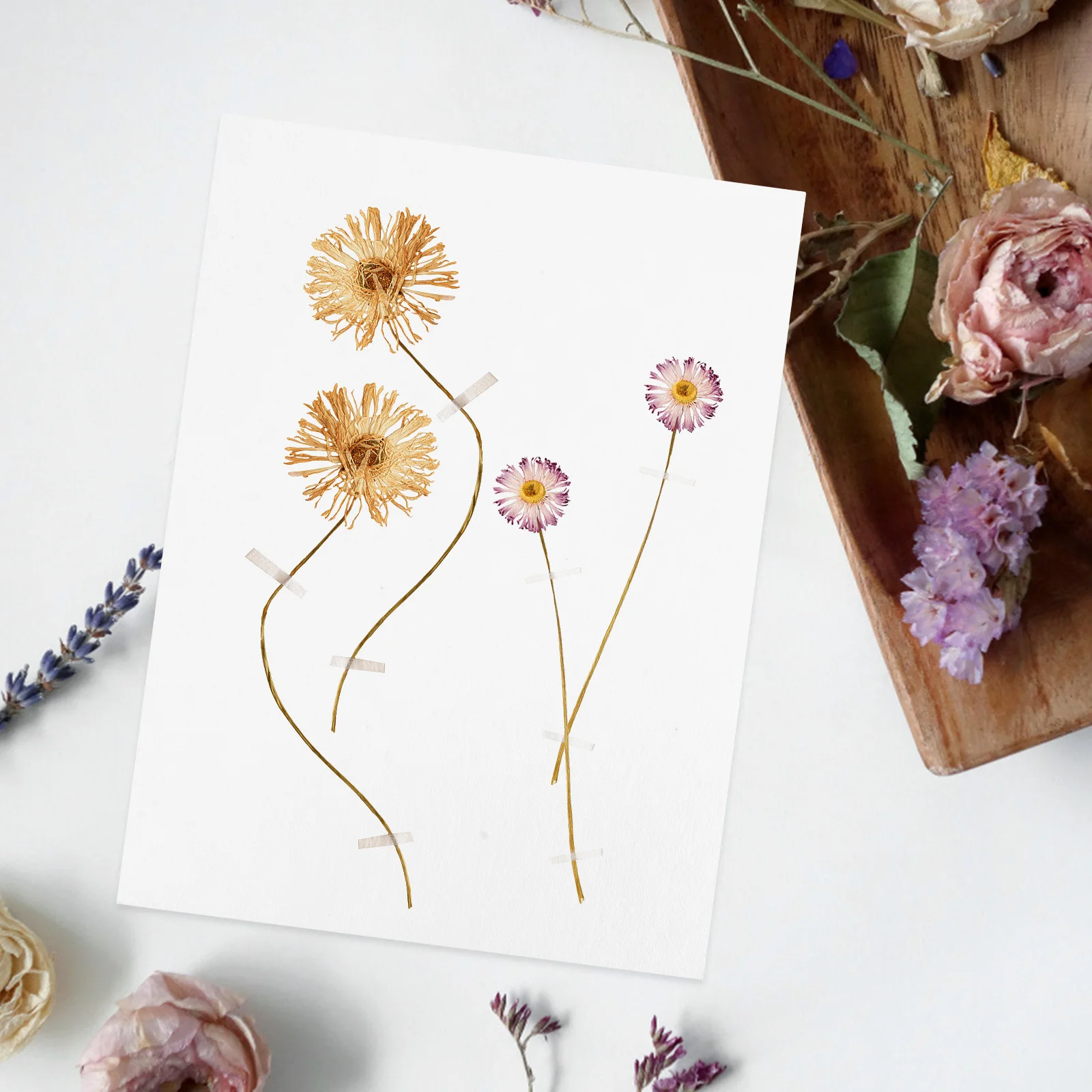 

6Pcs Dried Flower Press Board Blotter Paper Absorbent Reusable Flower Pressing Tool for Craft Herbarium Plant Specimen Making