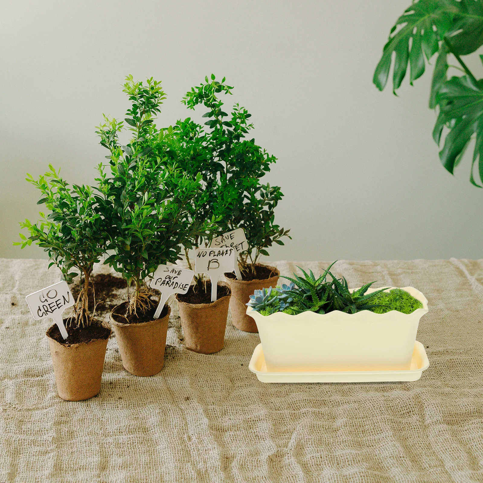 

Rectangular Flower Pot Vegetable Growing Window Planter Garden Balcony Gardening Pots Indoor