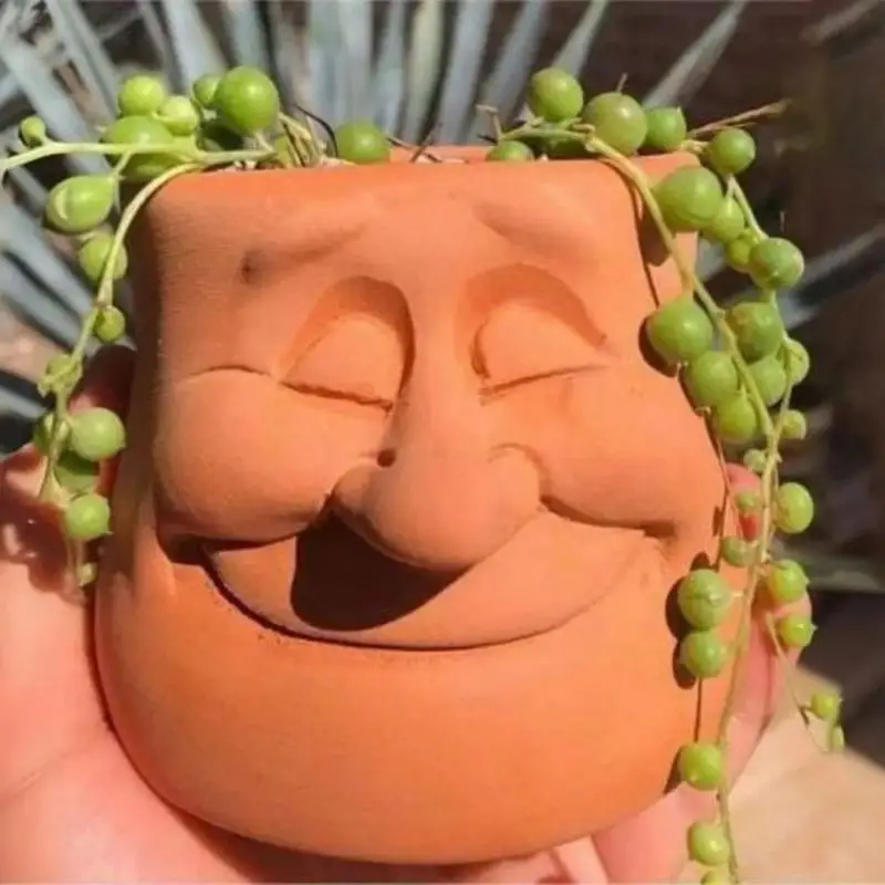 Face Shape Flower Pot Resin Figure Planter Flower Pot Unique Comic Resin Succulent Plant Pot Cute Head Planter Succulent Planter