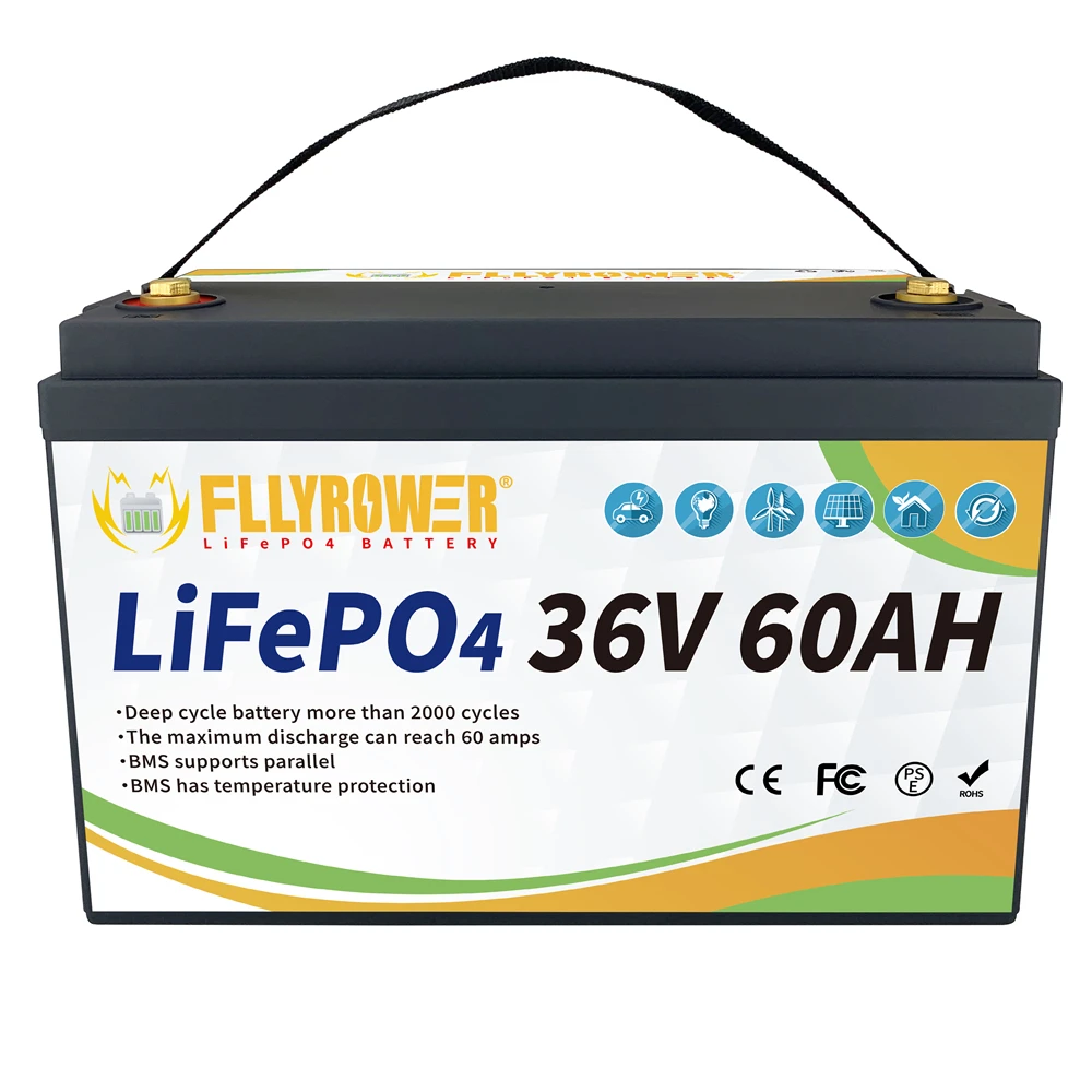 FLYPOWER 12/24/36V 30 80 100 200Ah LiFePO4 Iron Phosphate Energy Battery Pack With BMS For Golf Cart RV Campers 4000 Cycles