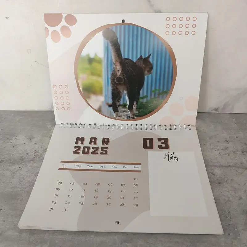 Twin-Wire Bound Cat Pattern Planner Family Month To View Calendar 2025 Cat Balls Organizing Calendar With Notes Space For Home