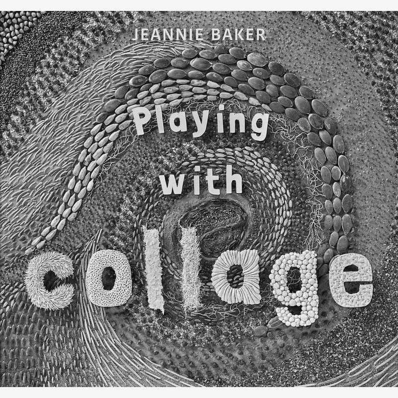 

Jeannie BakerPlaying With Collage Jeannie Baker Walker UK 9781406378665 Book