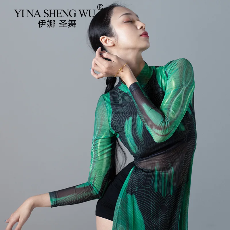 Classical Dance Cheongsam-style Long Skirt Classical Dance Female Professional Performance Mesh Long-sleeved Practice Clothes