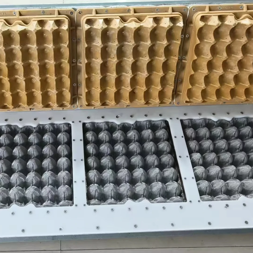 Cetakan Plastik Universal 30 Telur