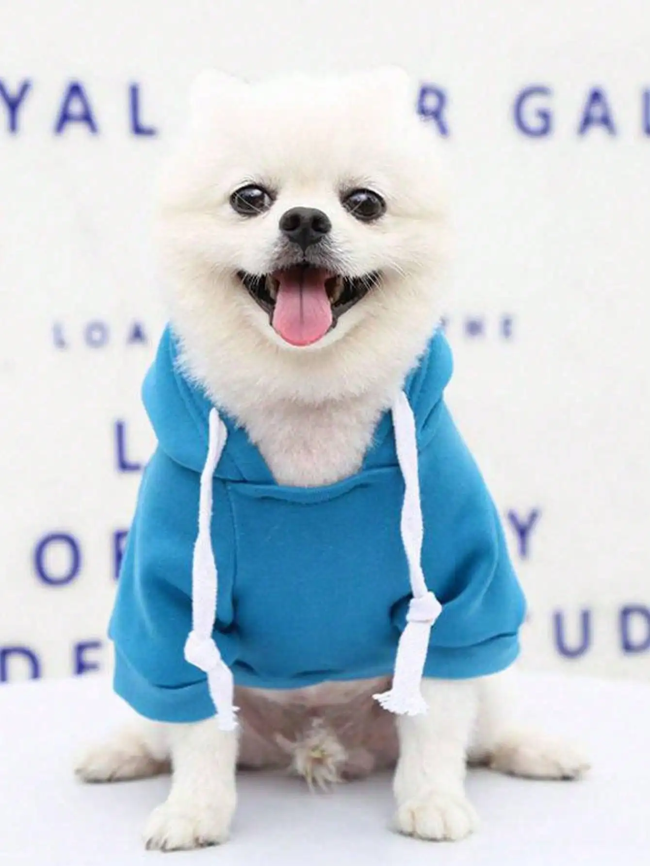 Hunde-Hoodie Premium Hundepullover für Kleine, Mittlere und Große Hunde |   Warme Outfits für Französische Bulldoggen, Pitbulls, Welpen, Jacke