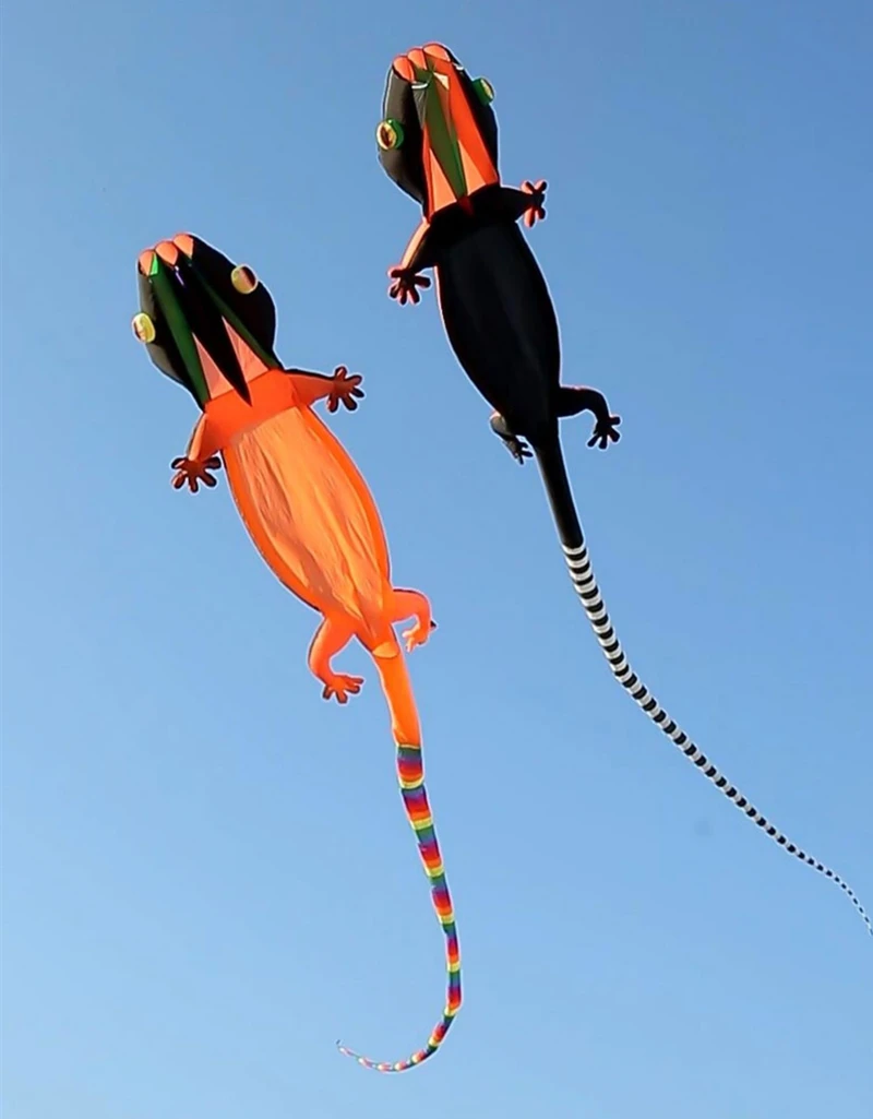 Big kites flying gecko kites wing soft kites parachute kites professional kites reel sports kites eagle nylon kite wind dragon