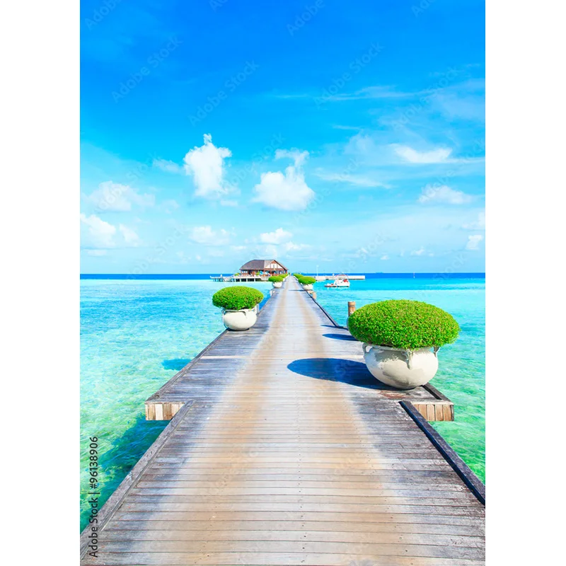 Tropical Meer Strand Palms Baum Fotografie Hintergrund Natural Scenic Foto Kulissen Photo Foto Studio 211227-HHB 01