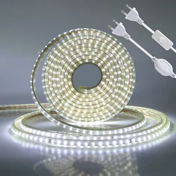 Bande Lumineuse LED 220 Étanche et Flexible, Ruban de Lampe d'Extérieur, Bleu/Blanc Chaud/Blanc, AC 3014 V, 120 Diodes/m, 10m, 15m, 20m, 30m, 50m, 100m