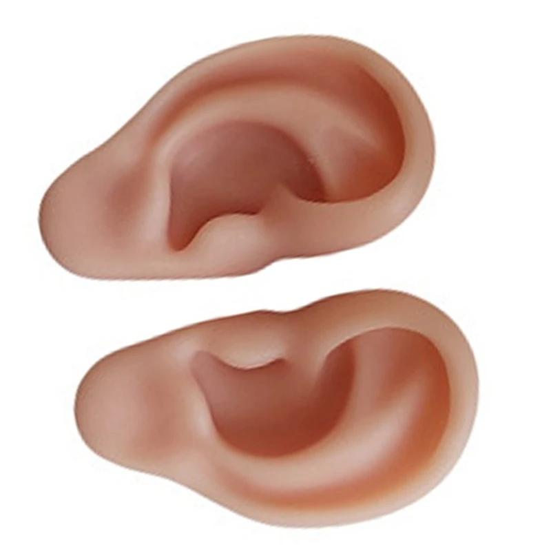 인체 해부학 실리콘 귀 침술 연습 키트, 봉합 훈련, 교육 도구용