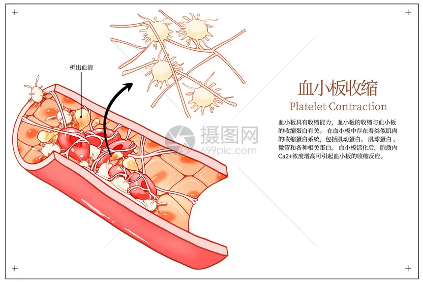 

2.2 in Wheel Tires for 1/10 SSCX10 II 90046 III AXI03007 SCX10 Pro TRX4 TRX6 Gen7 Gen8 D90 VS4-10 MST CFX RC Crawler