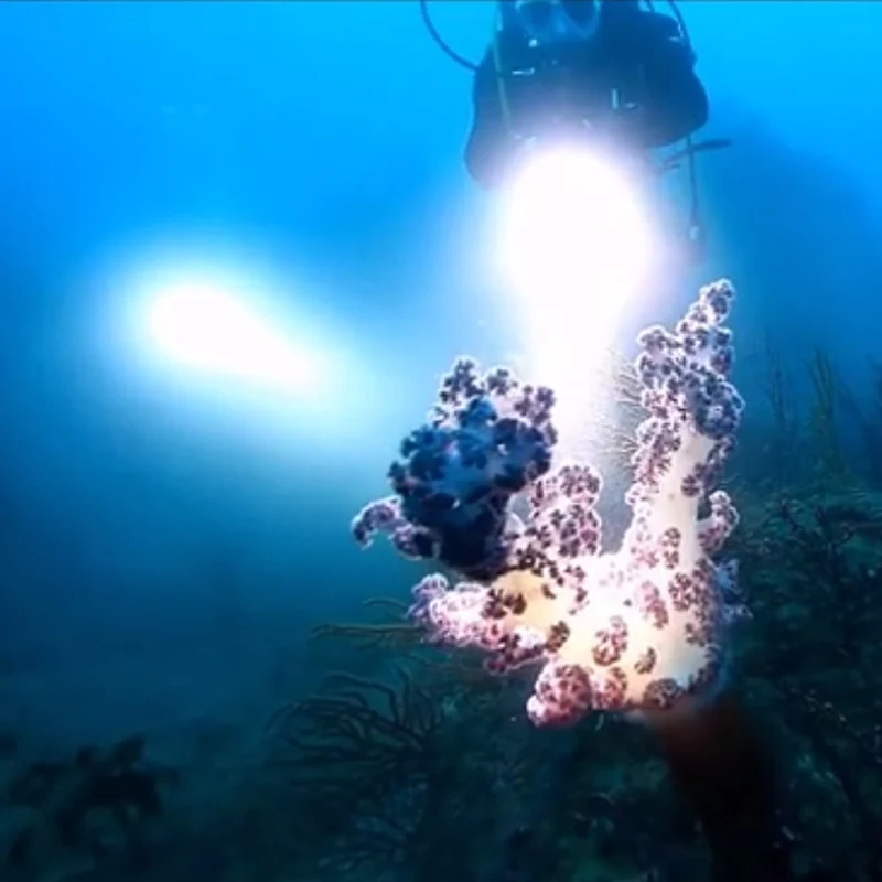 Imagem -06 - Mergulho Profissional Classe Militar Led Lanterna Tocha à Prova Dunderwater Água Subaquática 100m de Energia por 26650 18650 Bateria Lanterna Xhp70.2