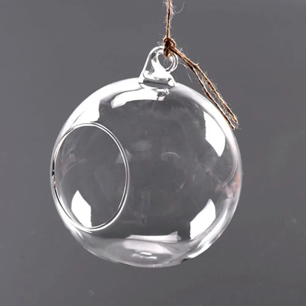 6/8/10/12/15cm Hanging Glass Vase Micro Landscape Ecological Vase Succulent Plant Vase Transparent Circular Glass Bottle