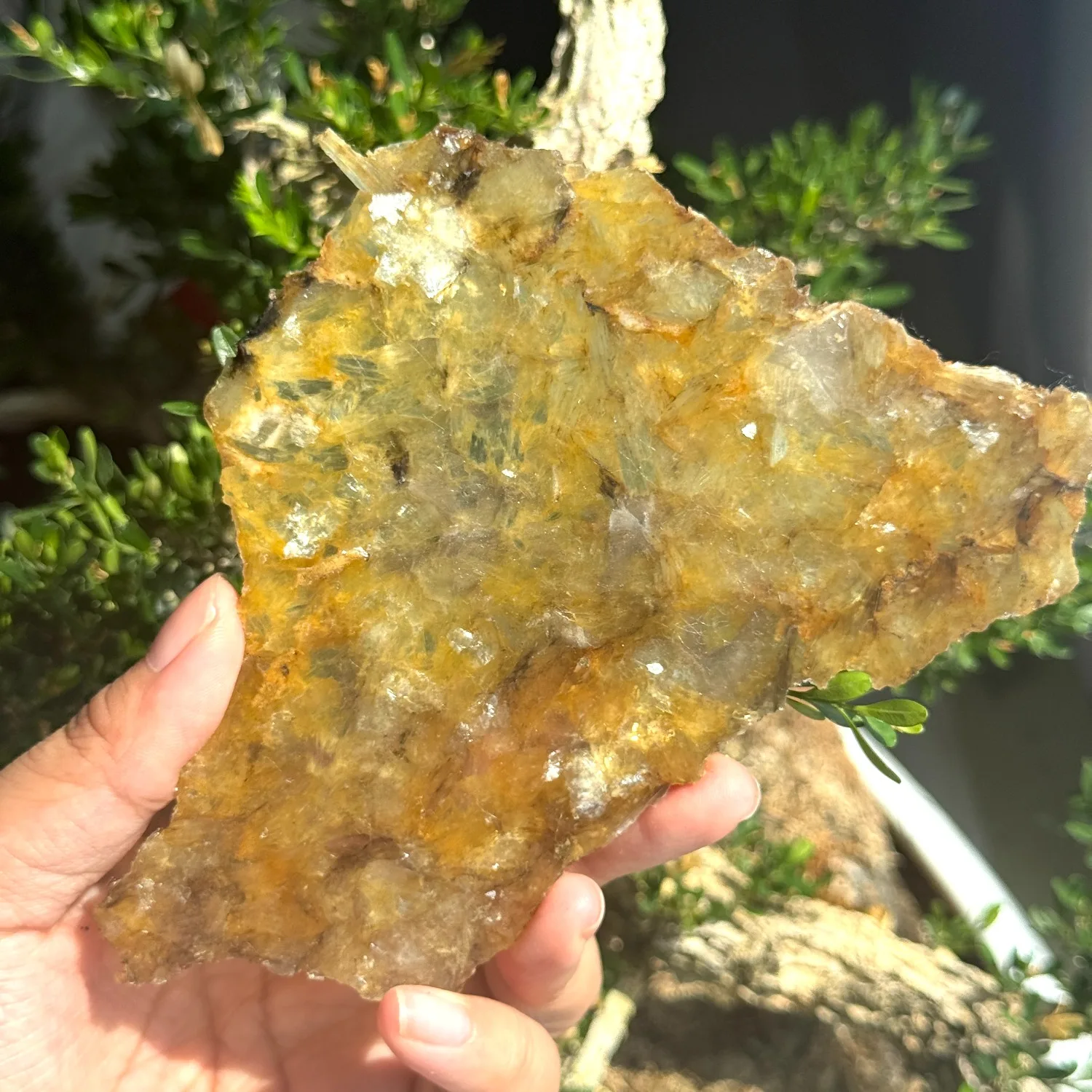 Natural Golden Mica Lepidolite Crystal Slice Polished Stone Slab Reiki Healing Specimen Meditation Home Decor Gifts