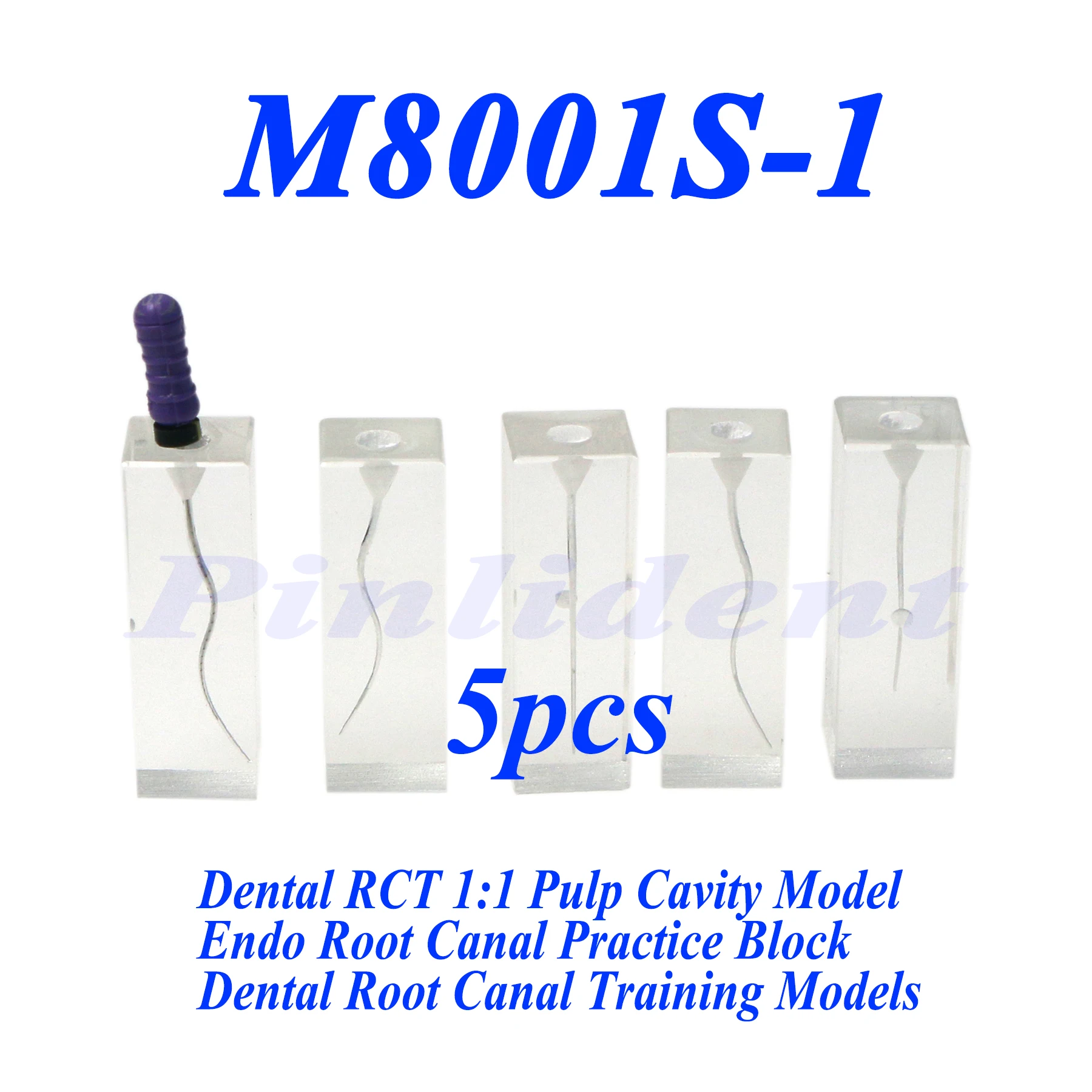 Рисунок 3 - Модели зубов для обучения зубами
